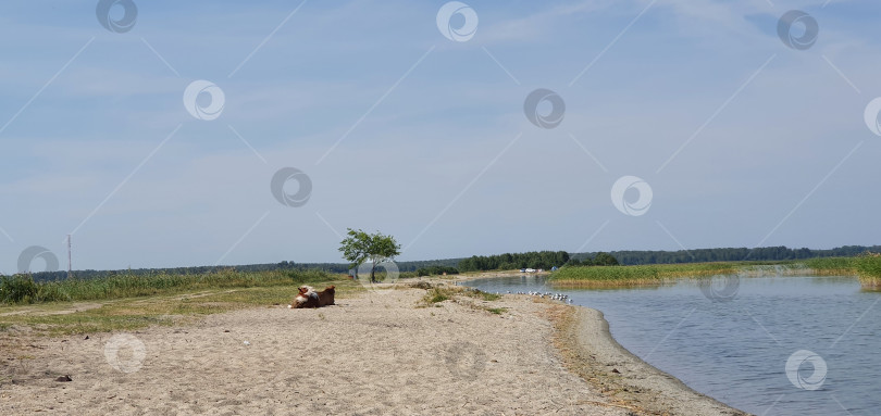 Скачать Природный пейзаж озера с лошадьми фотосток Ozero