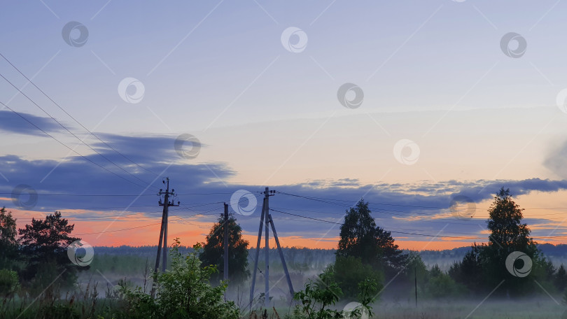 Скачать Туманный пейзаж леса с электрическими столбами фотосток Ozero