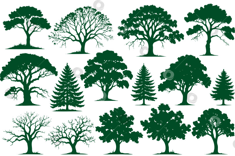 Скачать Коллекция деревьев различных размеров и форм, причем некоторые из них голые фотосток Ozero