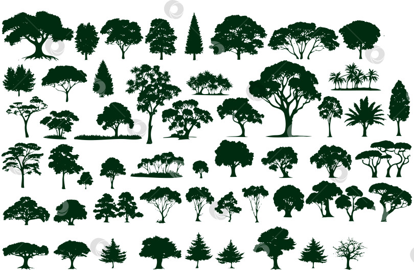 Скачать Коллекция деревьев различных размеров и форм, включая пальмы фотосток Ozero