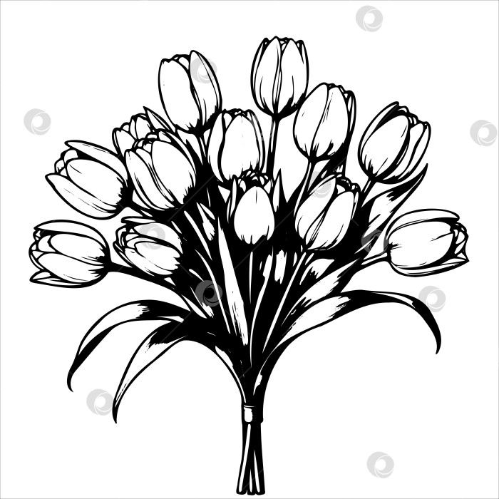 Скачать Букет белых тюльпанов - это главный акцент образа фотосток Ozero