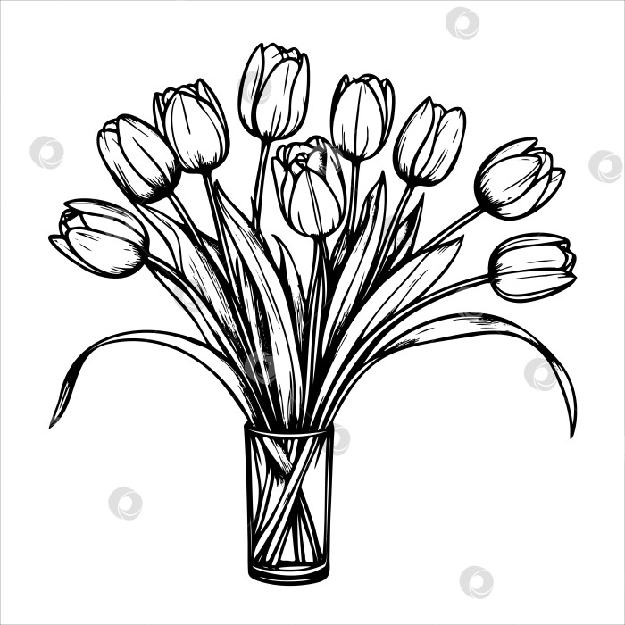 Скачать Букет тюльпанов в стеклянной вазе фотосток Ozero