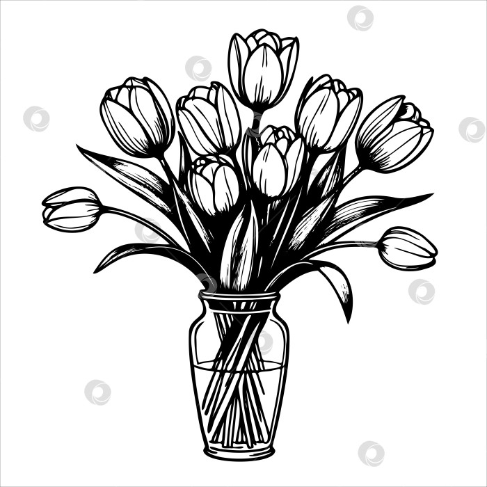 Скачать Ваза с тюльпанами нарисована черно-белыми красками фотосток Ozero