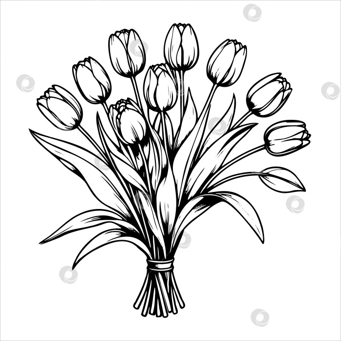 Скачать букет из белых тюльпанов выполнен в черно-белых тонах фотосток Ozero