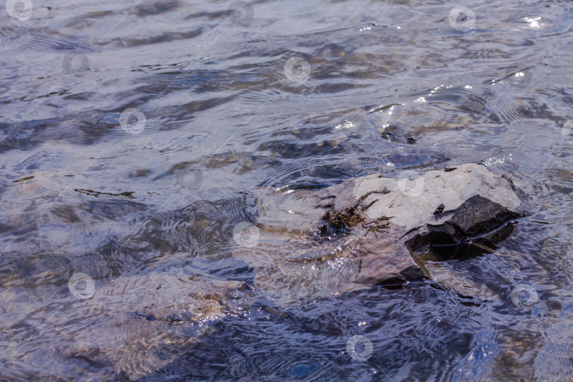 Скачать Речная гладь с камнями в воде, крупный план фотографии фотосток Ozero