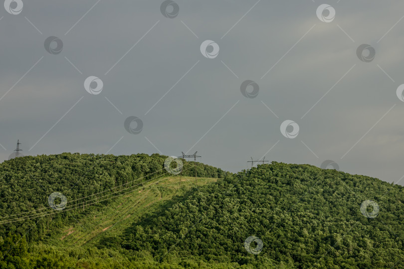 Скачать Высоковольтная линия электропередачи на холме с зеленым лесом и облачным небом фотосток Ozero