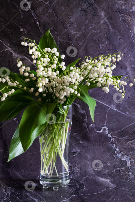 Скачать Букет белых цветов ландыша в бокале (Convallaria majalis, майские колокольчики, майская лилия) на белом столе с местом для текста фотосток Ozero