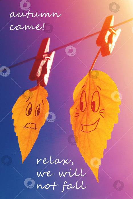 Скачать Забавная диагональ из двух пожелтевших листьев на прищепке (концепция, мотиватор) фотосток Ozero