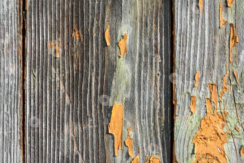 Скачать Состаренные окрашенные деревянные настенные доски (текстура, фон, крупным планом) фотосток Ozero
