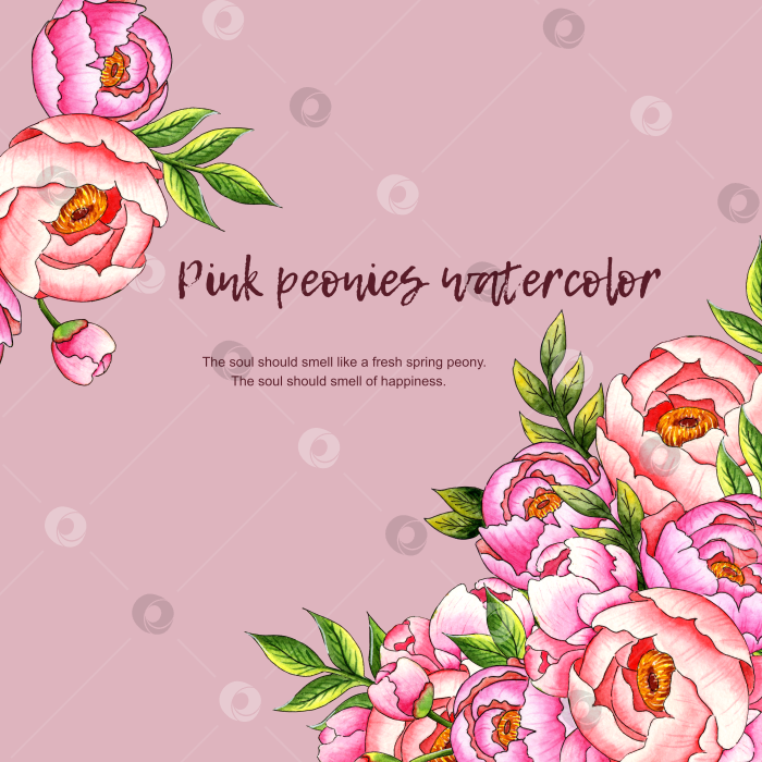 Скачать Открытка с букетами пионов на розовом фоне и текстом, выполненным акварелью фотосток Ozero