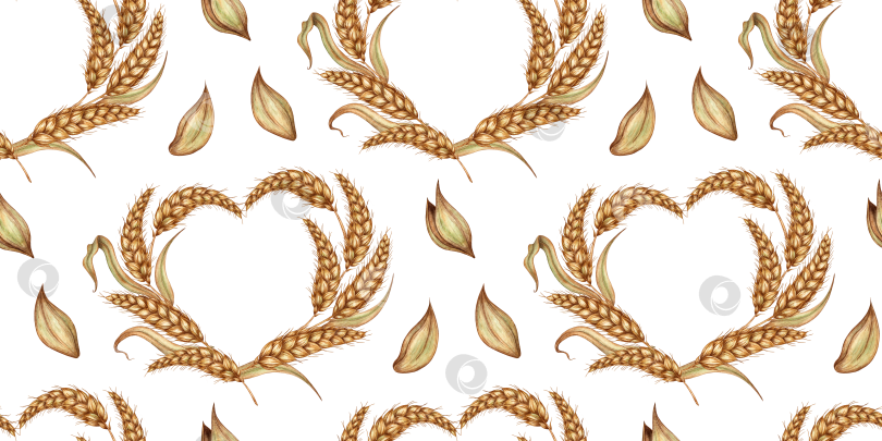 Скачать Рисунок сердца из пшеничных колосьев акварелью фотосток Ozero