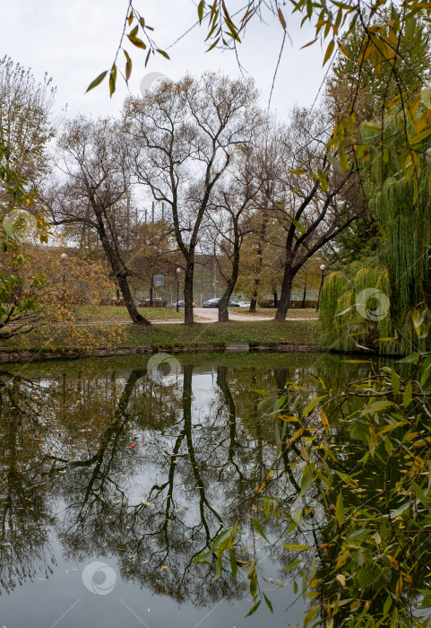 Скачать Осенний пейзаж фотосток Ozero