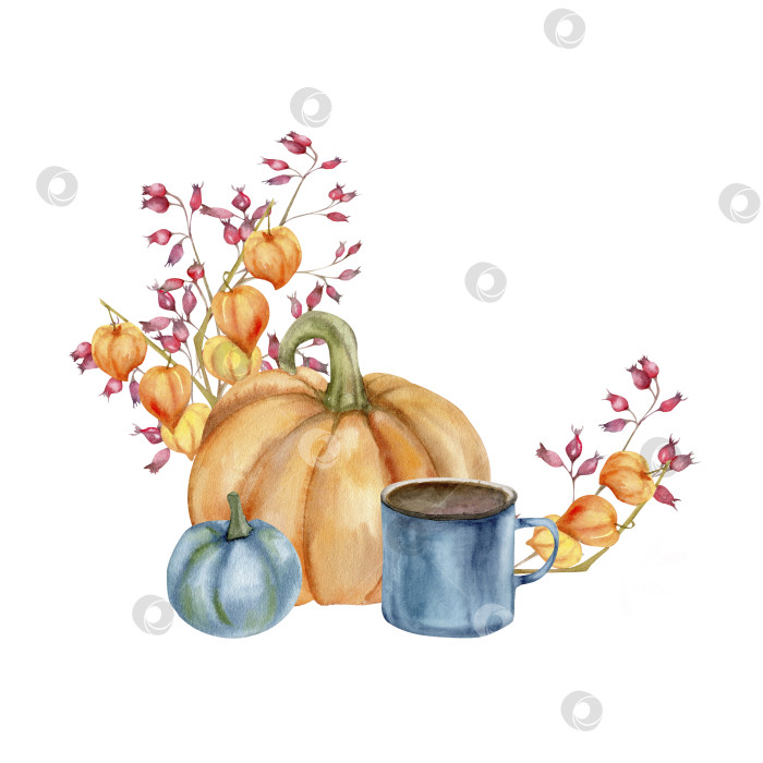 Скачать Осенняя цветочная картинка с оранжевой большой тыквой, синей чайной чашкой и темной маленькой тыквой. Оформление веточками, осенними цветами и ягодами. Уютная осенняя рамка с теплым рисунком фотосток Ozero