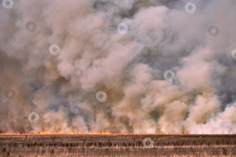 Скачать Пожар в поле. фотосток Ozero