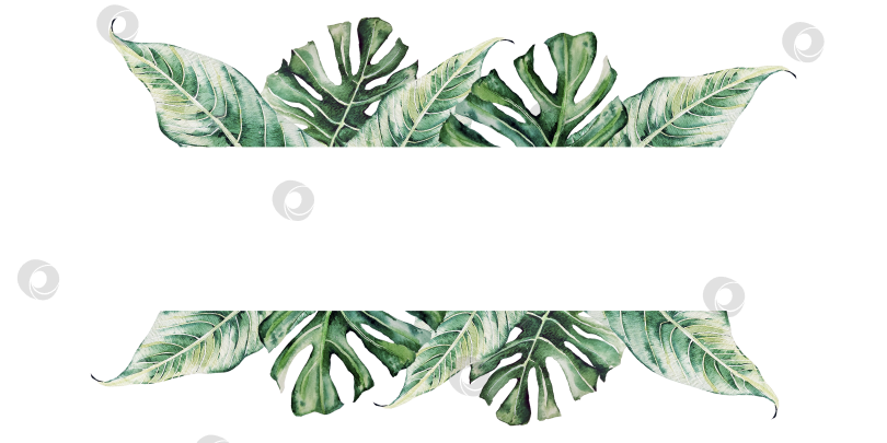 Скачать Рамка из зелёных тропических листьев каллы и монстеры. Готовый шаблон для дизайна и оформления. фотосток Ozero