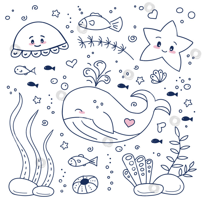 Скачать Набор морских рисунков с милыми животными - китом, осьминогом, морской звездой, рыбками. Нарисованные от руки водоросли и растения, пузырьки и камни. Векторная иллюстрация. фотосток Ozero