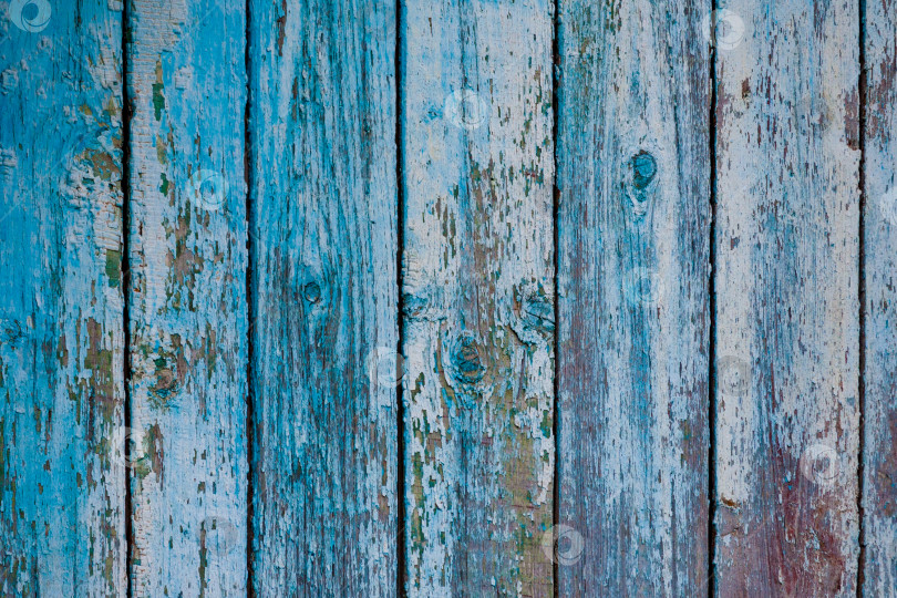 Скачать деревянные доски с потертой синей краской (фон, текстура) фотосток Ozero