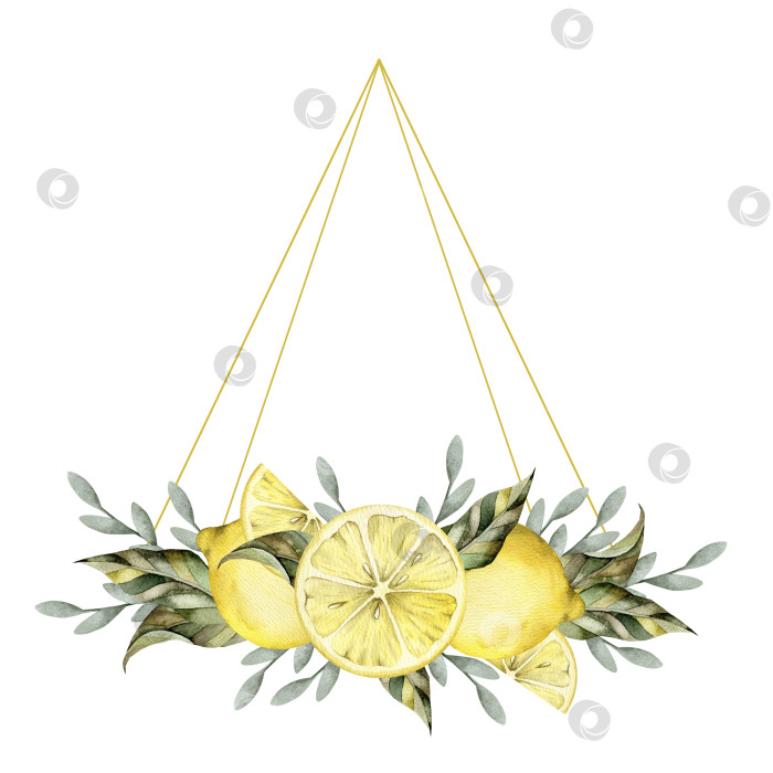 Скачать Нарисованная от руки акварельная иллюстрация с лимоном на ветке с листьями фотосток Ozero