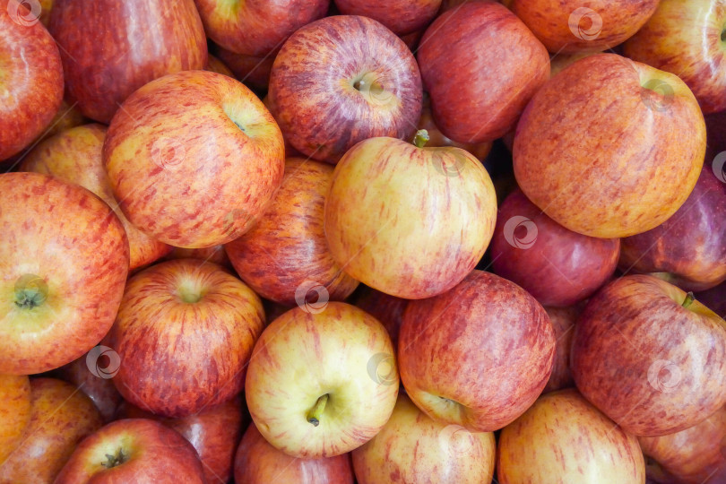 Скачать Груда праздничных яблок в качестве фона, текстуры фотосток Ozero