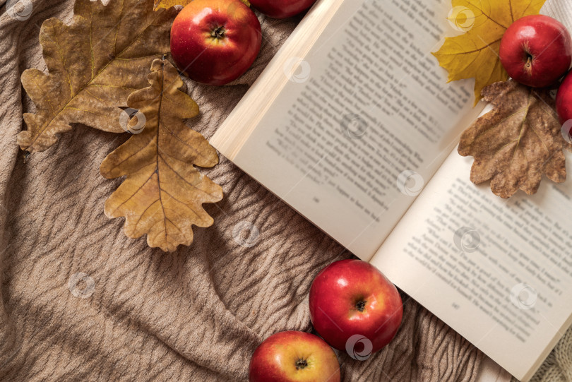 Скачать Раскрытая книга в окружении красных яблок и осенних желтых листьев на бежевом текстильном фоне фотосток Ozero