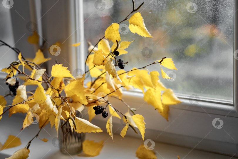 Скачать осенний букет из березовых веток с желтыми листьями фотосток Ozero