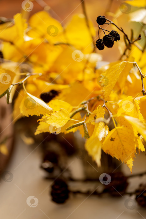 Скачать Сезонный букет из березовых веточек с желтыми осенними листьями. Особый акцент фотосток Ozero