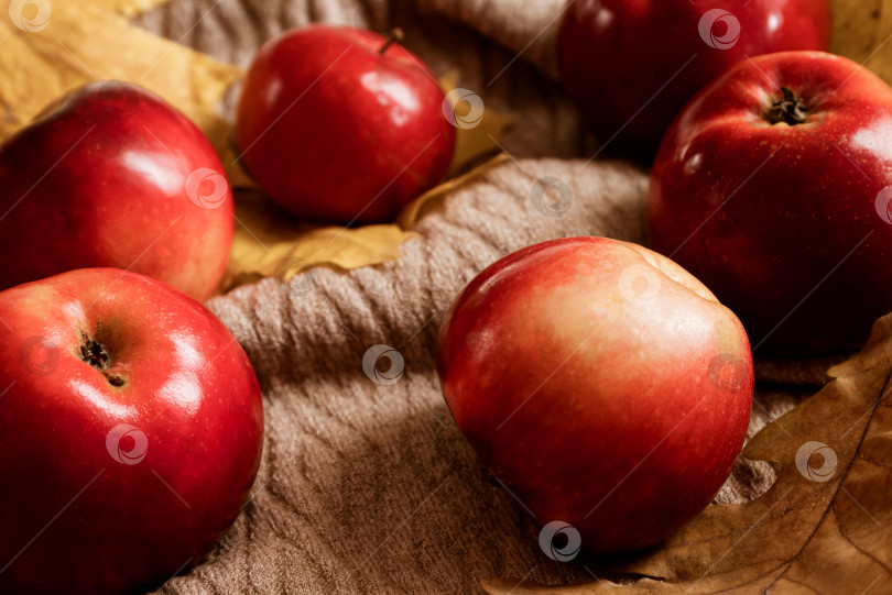Скачать Свежие красные спелые яблоки рассыпались по поверхности стола фотосток Ozero