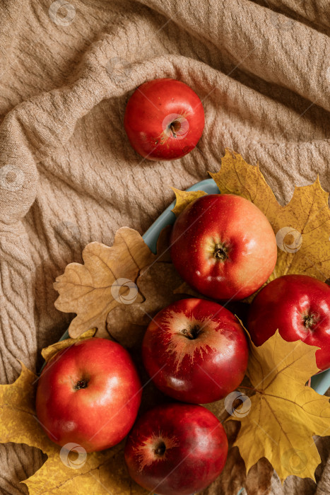 Скачать Красные спелые яблоки рассыпаны по бежевой текстильной поверхности фотосток Ozero