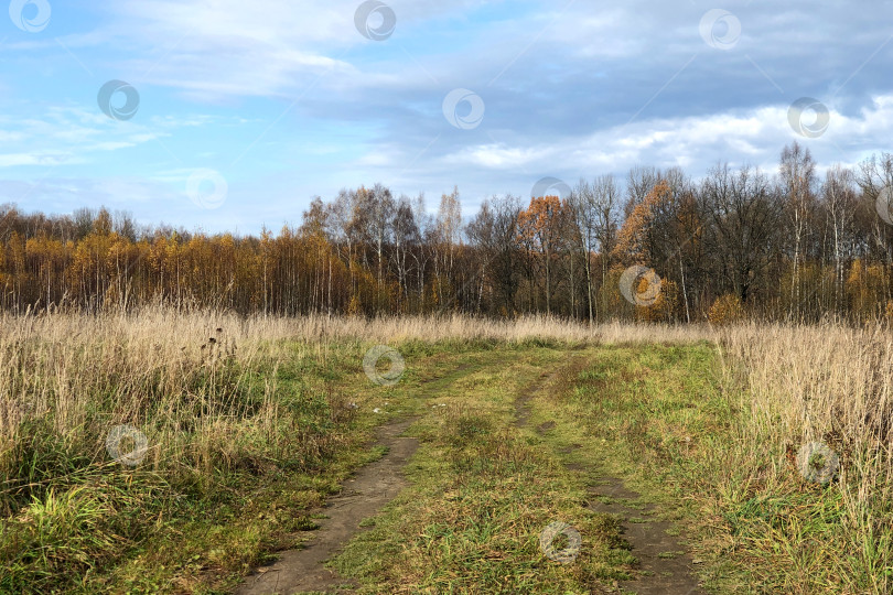 Скачать грунтовая дорога, ведущая через поле в осенний лес фотосток Ozero