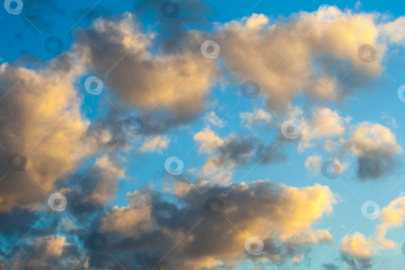 Скачать Золотые облака на фоне голубого неба фотосток Ozero