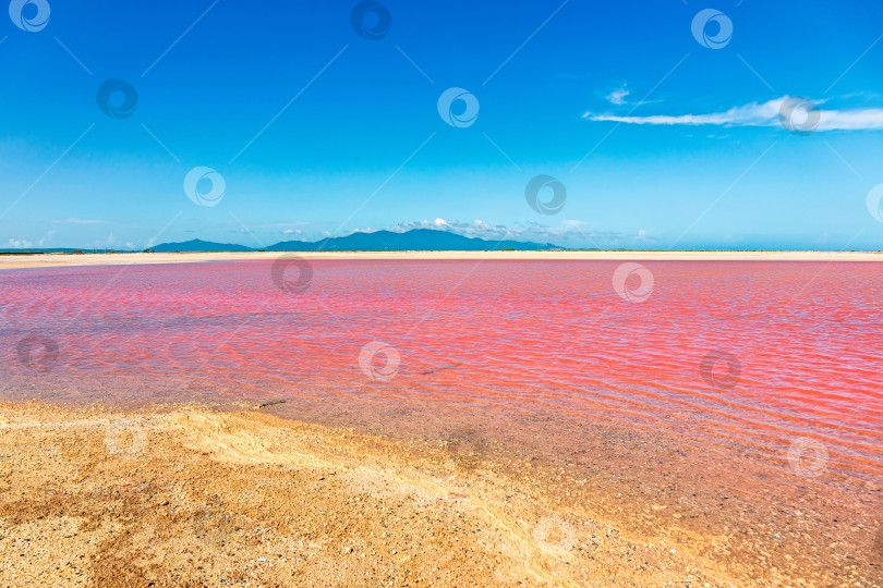 Скачать Розовая лагуна на острове Коче (2) фотосток Ozero