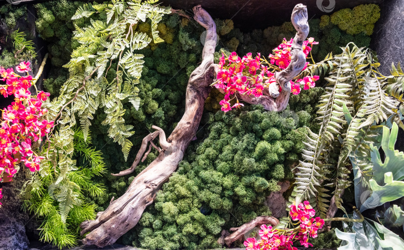 Скачать Ландшафтный дизайн из цветов, мхов и листьев фотосток Ozero