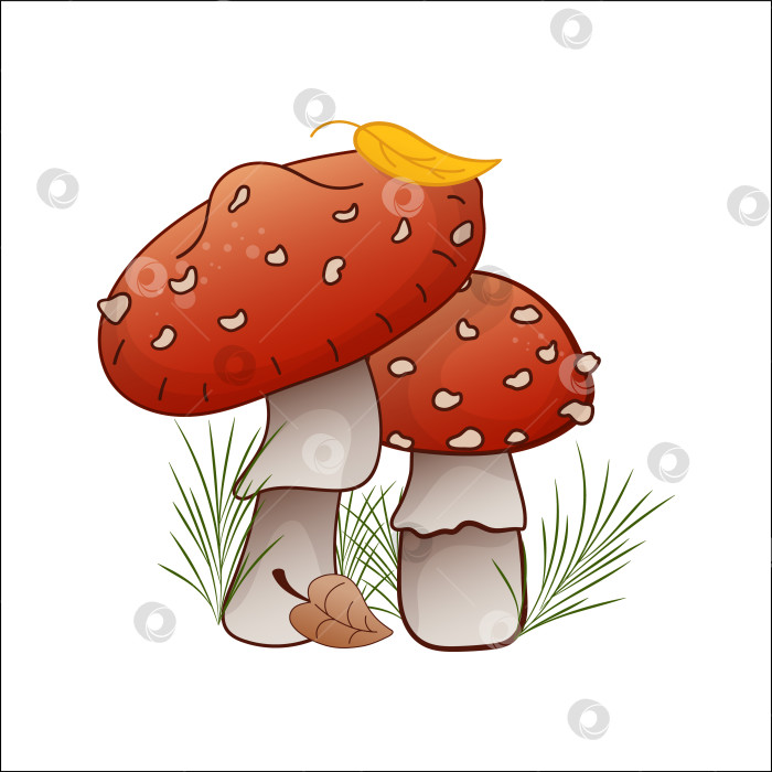 Скачать Векторная иллюстрация гриба Amanita muscaria. Дикий лесной гриб мухомор осенью, изолированный. фотосток Ozero