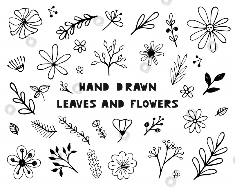 Скачать Нарисованный от руки эскиз набора цветов и листьев фотосток Ozero