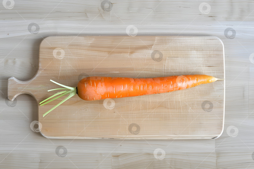 Скачать Одну морковь выложите на разделочную доску из светлого дерева фотосток Ozero