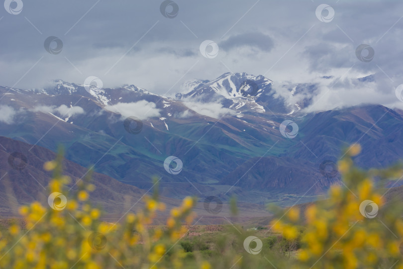 Скачать вид через поле на горные вершины фотосток Ozero