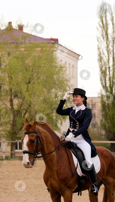 Скачать Всадник отдает честь верхом на лошади на городской конноспортивной арене фотосток Ozero