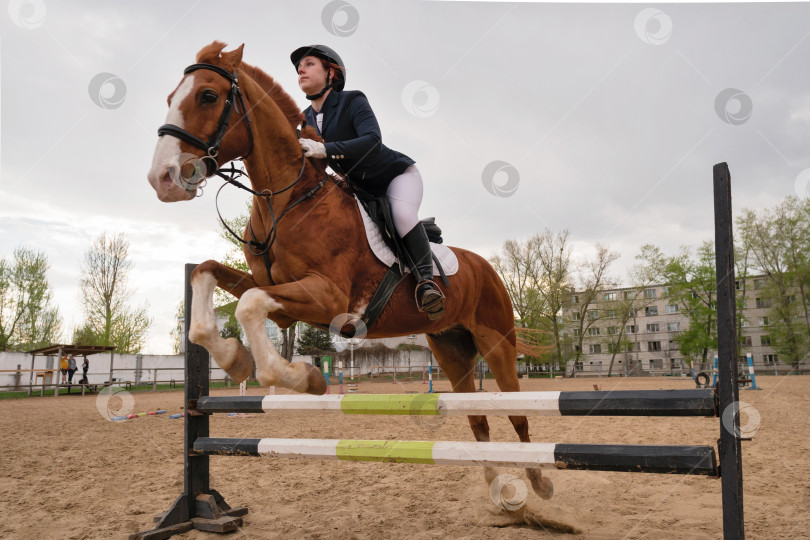 Скачать Прыжок лошади и всадника через голову, динамичное конноспортивное мероприятие фотосток Ozero