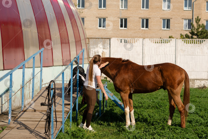 Скачать Женщина чистит лошадь у входа в сарай фотосток Ozero