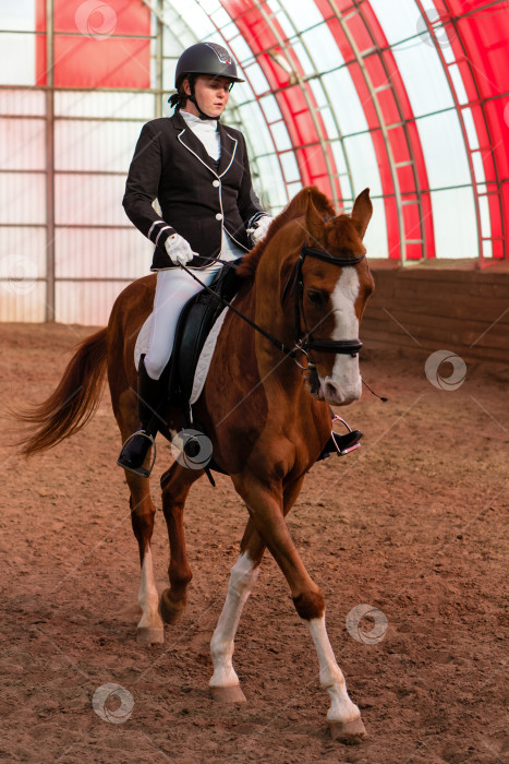 Скачать Одетый всадник на лошади в школе верховой езды фотосток Ozero