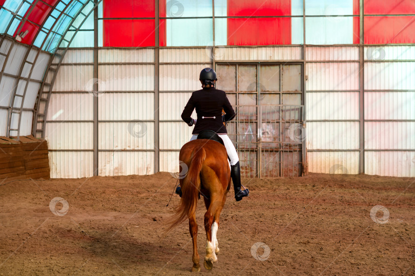 Скачать Всадник на гнедой лошади на манеже для верховой езды фотосток Ozero