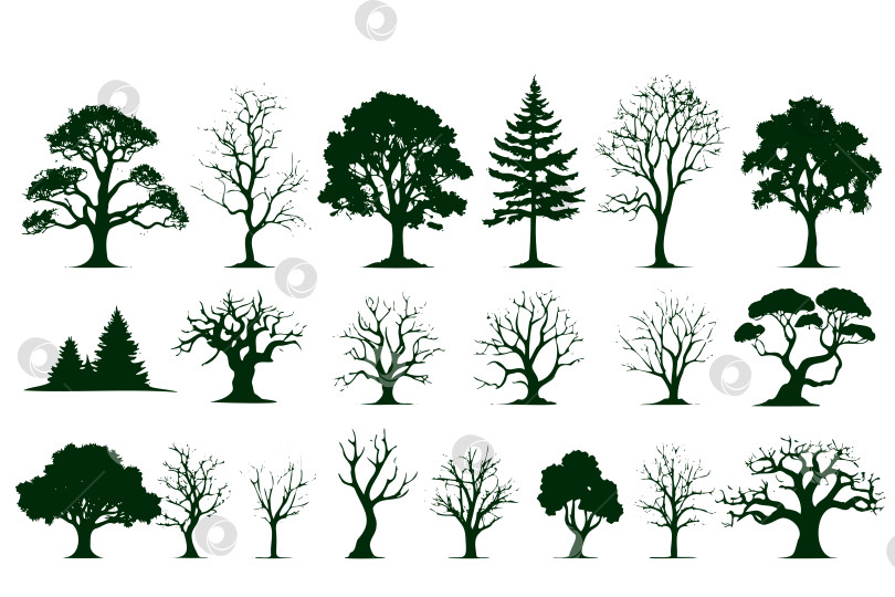 Скачать Коллекция деревьев различных размеров и форм, некоторые из которых голые фотосток Ozero