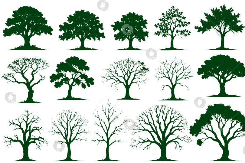 Скачать Коллекция силуэтов деревьев на разных стадиях роста фотосток Ozero