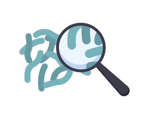 [object Object] undefined