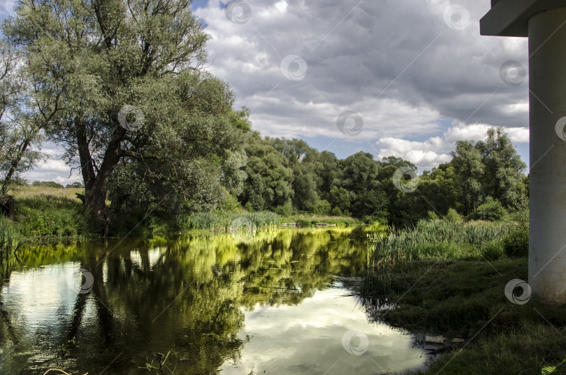 Скачать Пейзаж с рекой, деревьями и облаками, отражающимися в воде фотосток Ozero