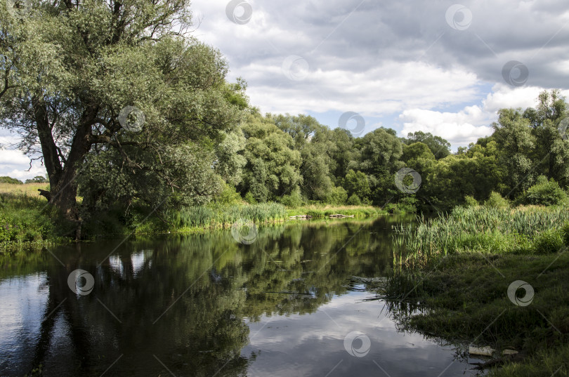 Скачать Речной пейзаж с ивами на переднем плане и облачным небом. фотосток Ozero