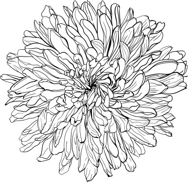 [object Object] undefined