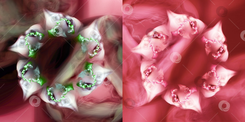 Скачать Нежное элегантное цветочное оформление. Легкие цветы с узорами на лепестках на розовом фоне. Набор элементов графического дизайна. 3D-рендеринг. 3D-иллюстрация. фотосток Ozero