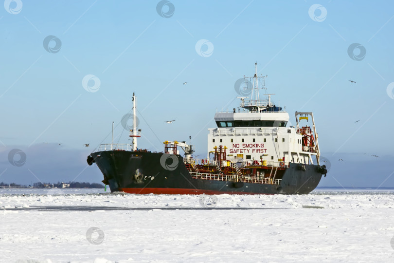 Скачать Танкер идет по фарватеру, проложенному во льду Финского залива. Зима. фотосток Ozero