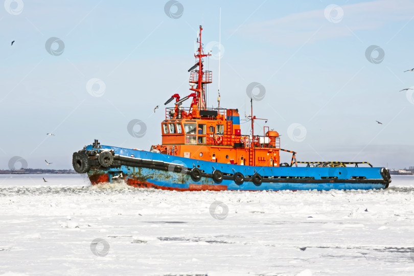 Скачать Буксир идет по фарватеру, проложенному во льду Финского залива. Зима. фотосток Ozero